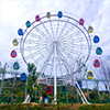 Ferris Wheel