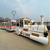 Diesel train